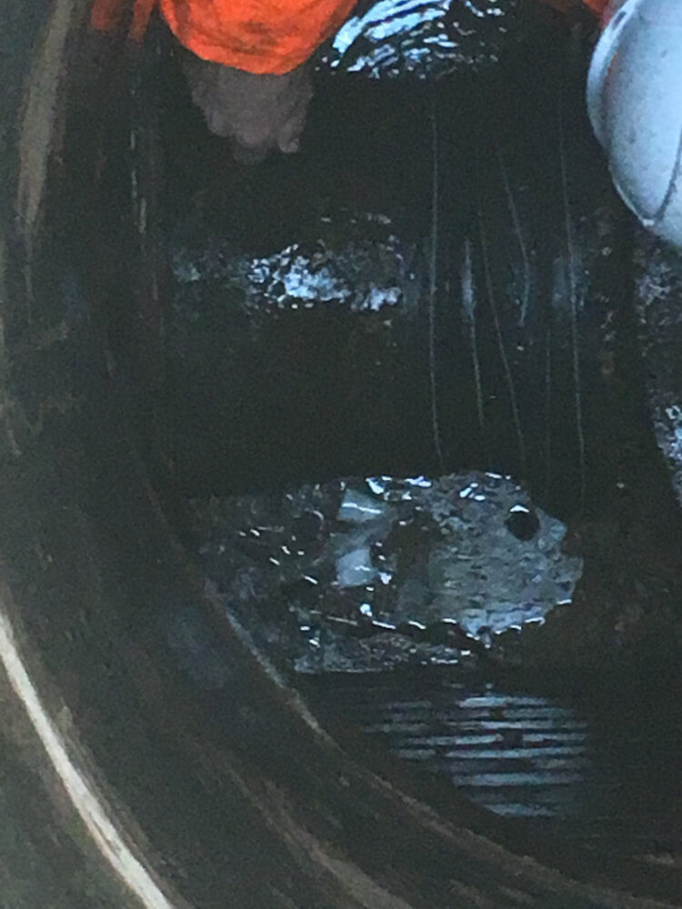 Pipe Wrapping Services Pipe Wrapping Services